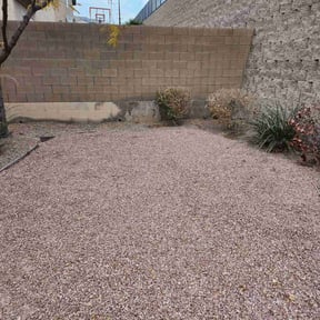 Leaf Removal by MNS Services reviewed on January 3, 2025