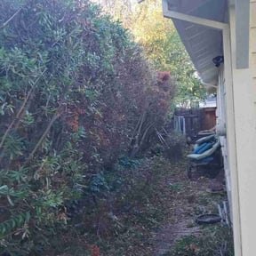 Bush Trimming by K.I.S.S. lawn care reviewed on April 28, 2025