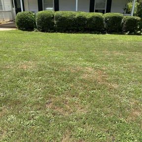 Bush Trimming by Greene enterprise reviewed on March 18, 2025