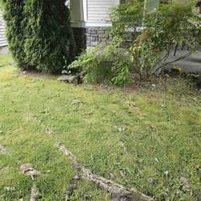 Cleanups by Nates Lawn Service reviewed on July 20, 2022