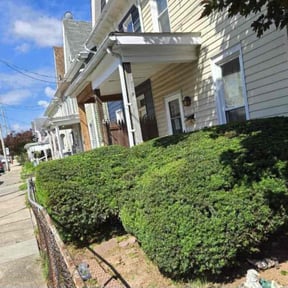 Bush Trimming by Crutchfield Property Maintenance reviewed on May 10, 2022