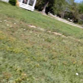Cleanups by Jerry Rios Lawn Serviceu reviewed on April 15, 2022