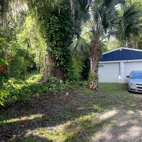 Cleanups by A.N.E. Landscaping LLC reviewed on August 3, 2025