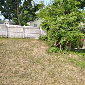 Bush Trimming by TruGreen LawnCare reviewed on June 10, 2025