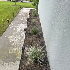 Cleanups by A.N.E. Landscaping LLC reviewed on August 3, 2025