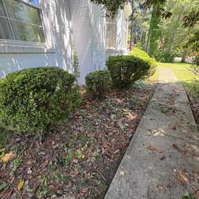Bush Trimming by 3D GARDEN design & lawn care reviewed on May 31, 2022