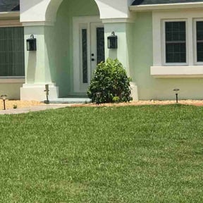 Bush Trimming by Thayer's Property Maintenance reviewed on August 8, 2024