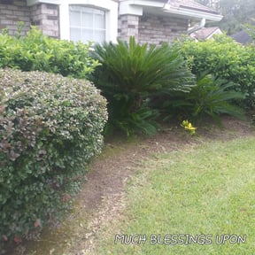 Flower Bed Weeding by Loza Lawn & Home Services reviewed on May 12, 2022