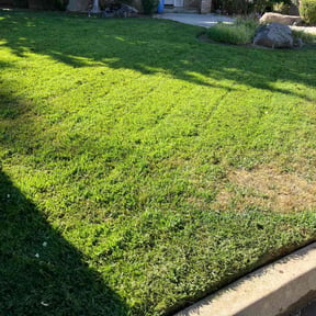 Cleanups by SacTown Clean Green Services LLC reviewed on June 27, 2025