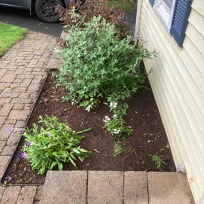 Cleanups by Hustle Lawn Care reviewed on July 31, 2022