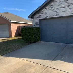 Bush Trimming by TruGreen LawnCare reviewed on November 8, 2024