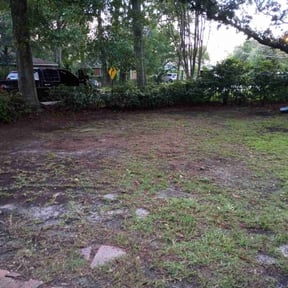 Cleanups by Paradise Lawn Service reviewed on May 22, 2025