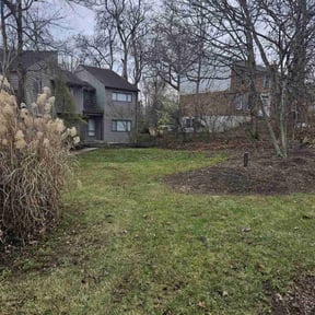 Leaf Removal by TruGreen LawnCare reviewed on June 11, 2025