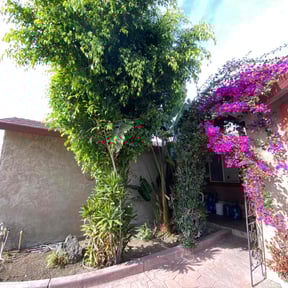 Bush Trimming by Pro Green Landscape L L C reviewed on May 27, 2022