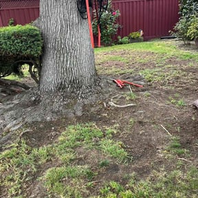 Cleanups by Chavez Garden reviewed on February 12, 2025