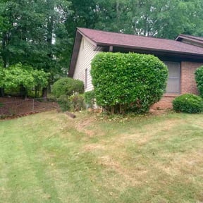 Bush Trimming by 360 Outdoor Solutions reviewed on June 4, 2019