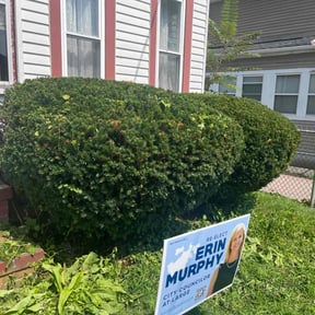 Bush Trimming by American Rose Landscaping LLC reviewed on April 29, 2022