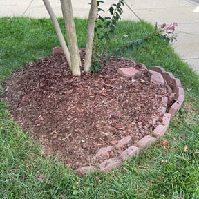 Cleanups by TruGreen LawnCare reviewed on June 28, 2025