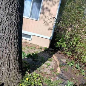 Leaf Removal by Bitcoin Lawn reviewed on May 29, 2022