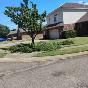 Bush Trimming by Zunigas Green Care LLC reviewed on March 29, 2025