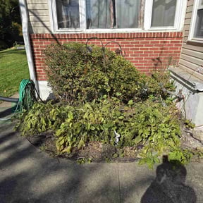 Bush Trimming by Ziolkowski Lawcare reviewed on July 26, 2022