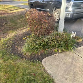 Bush Trimming by Taco Man Lawncare reviewed on June 13, 2022