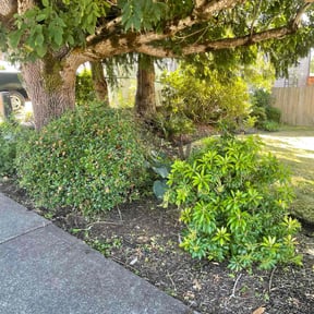 Cleanups by Thomas Enterprise LLC reviewed on June 10, 2022