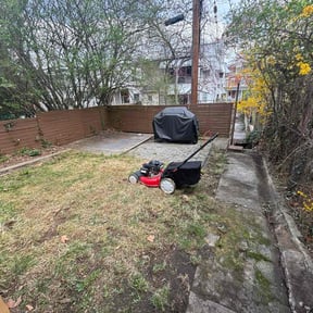 Leaf Removal by Martínez landscaping reviewed on April 14, 2022