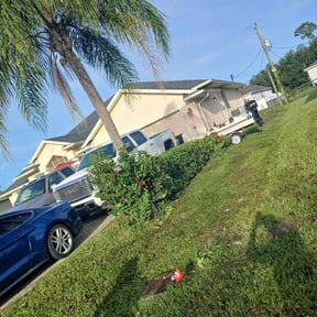 Bush Trimming by All Exclusive reviewed on August 31, 2020