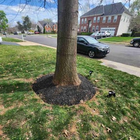 Mulching by Much Obliged Lawn Care reviewed on December 28, 2021