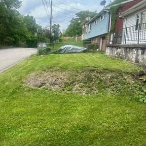 Bush Trimming by Extrahand Landscaping gardening & more llc. reviewed on August 14, 2020