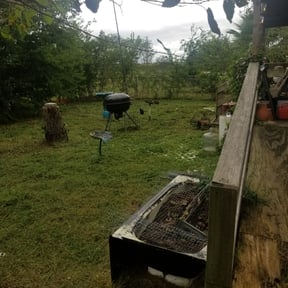 Cleanups by Americangreen reviewed on April 24, 2025