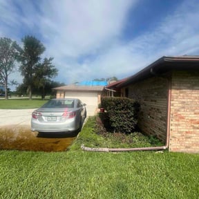 Bush Trimming by Al's Lawn care service/maintenance reviewed on July 11, 2022