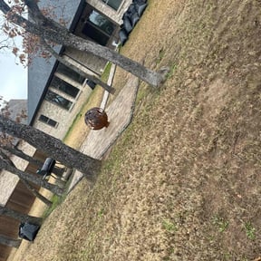 Leaf Removal by Valrico lawn care reviewed on December 14, 2021