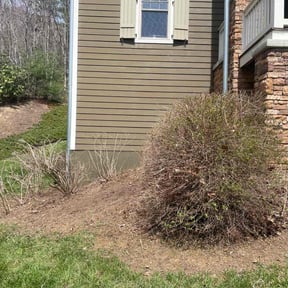 Bush Trimming by Scotton Complete Lawn Care reviewed on April 22, 2025