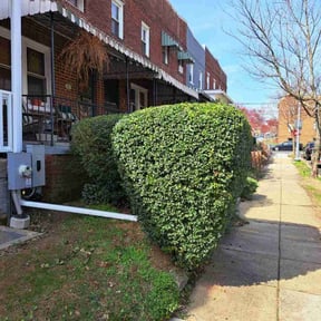 Bush Trimming by JJ Aguilar Lawn Care Inc reviewed on December 3, 2024
