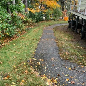 Leaf Removal by Dabbic Lawn Care LLC reviewed on June 15, 2022