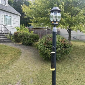 Bush Trimming by A1 America Landscaping reviewed on October 21, 2024