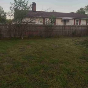 Leaf Removal by Devins lawn carey6 reviewed on July 15, 2022