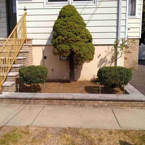 Bush Trimming by Vidco landscaping reviewed on May 7, 2022