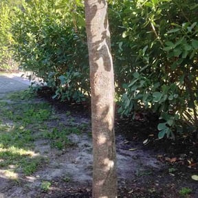 Weeding by MDP Lawn Care LLC reviewed on May 21, 2022