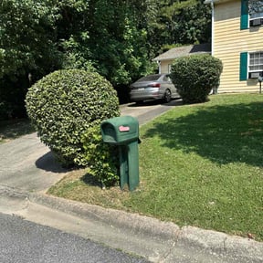 Bush Trimming by MPV Landscaping reviewed on August 5, 2022