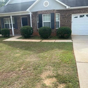 Bush Trimming by Multi Purpose reviewed on May 10, 2025