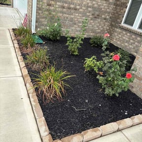 Cleanups by LSLTDallas/FortWorthTruGreen reviewed on October 25, 2024