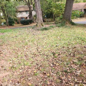Cleanups by Green T's Lawn & Landscape reviewed on May 9, 2025