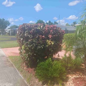 Bush Trimming by Same Day Lawn Care LLC reviewed on April 14, 2025