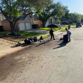 Leaf Removal by Solis Landscaping & Maintenance LLC reviewed on August 29, 2024
