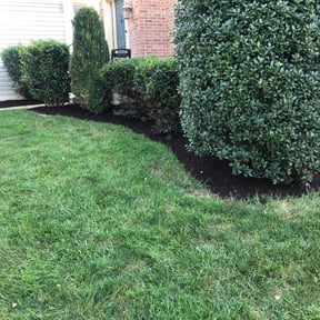 Mulching by Krenik lawn services reviewed on October 24, 2024