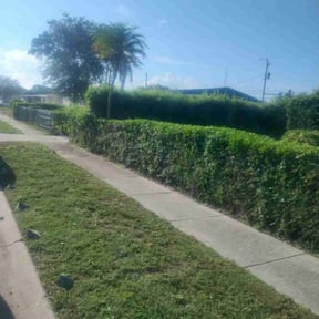 Bush Trimming by ShiftChange LLC Lawn Service reviewed on November 22, 2021