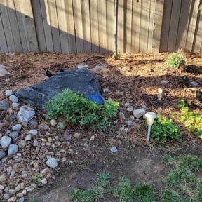 Cleanups by Little Services reviewed on July 13, 2022